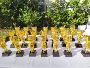 Gold trophy awards displayed on a table outdoors, celebrating achievement and excellence.