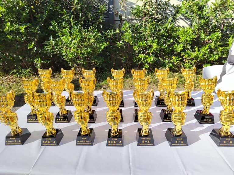 Gold trophy awards displayed on a table outdoors, celebrating achievement and excellence.